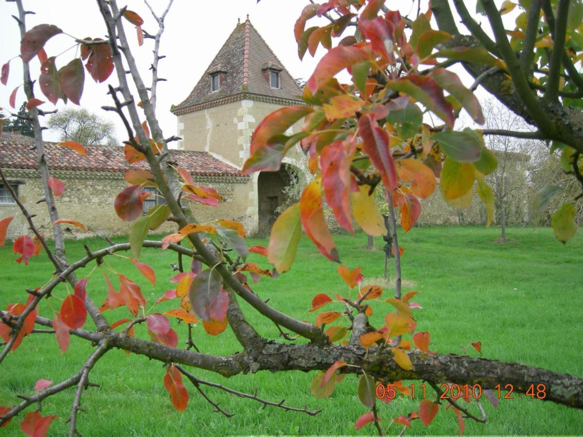 Lussan Domaine D'Entudelle住宿加早餐旅馆 外观 照片